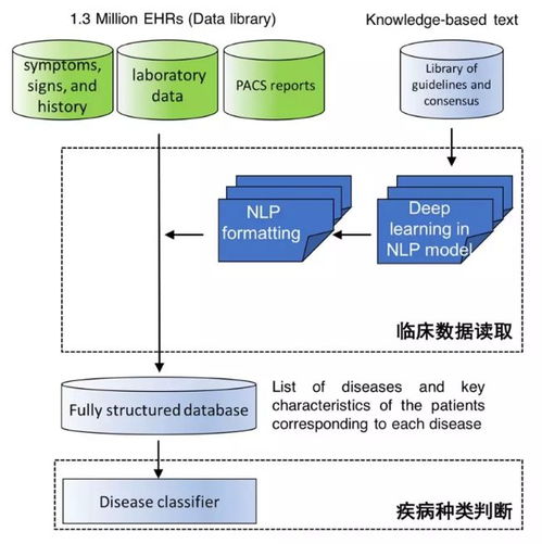 中國AI登上Nature子刊 讀懂病歷、推薦診斷，準確度超越人類醫生